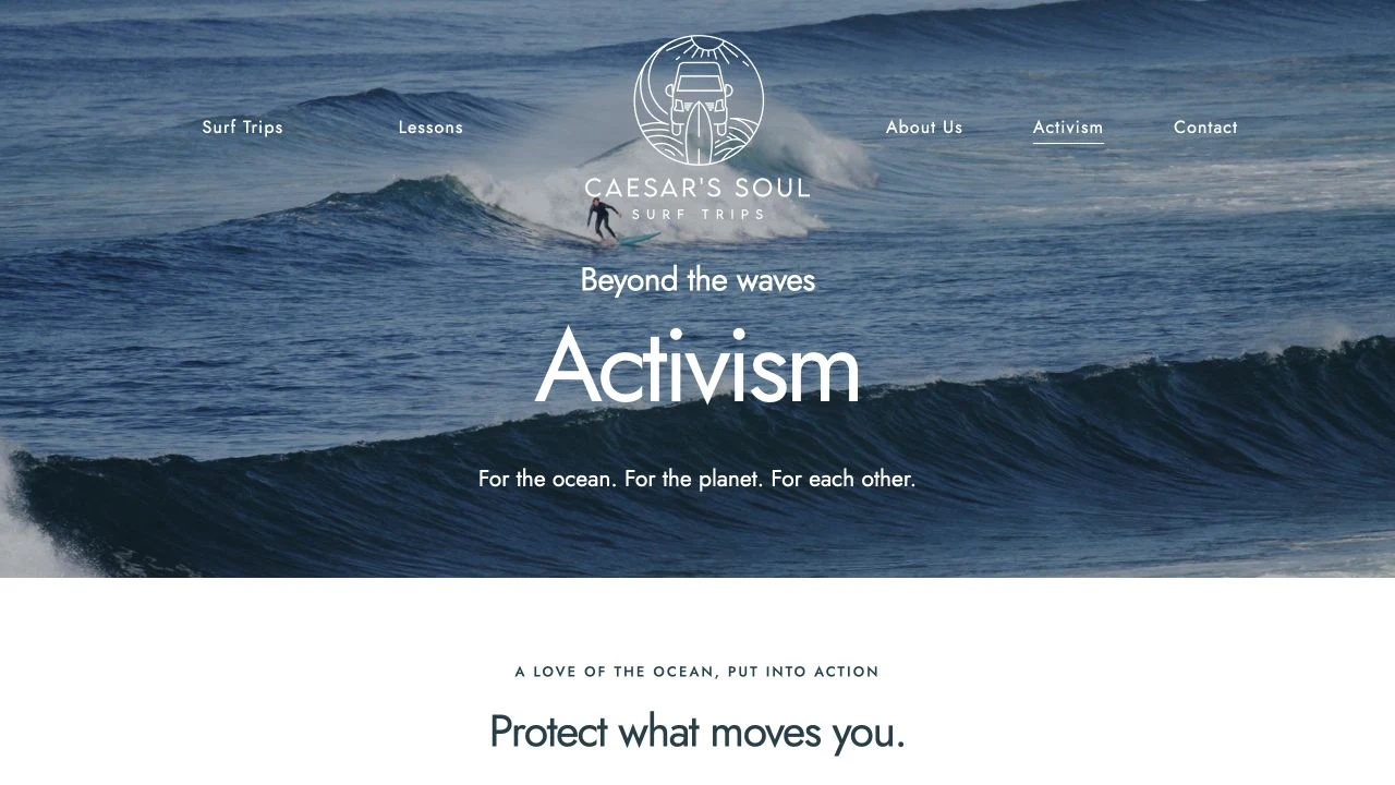 The Activism page prominently placed in the navigation